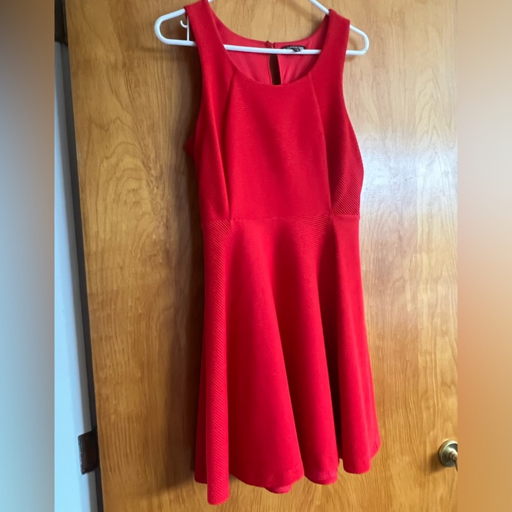 Express red ribbed skater dress